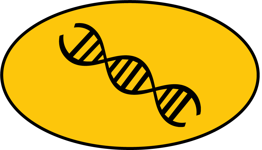 Manatoko
